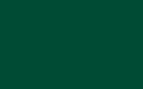 peinture 6945 pour man