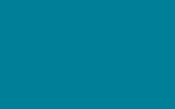 peinture man5396 pour man
