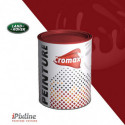 Pot de peinture 2 kg